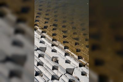 Vervanging oeverbescherming Hoge Vaart