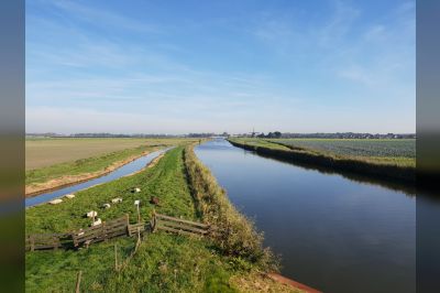 Oeververvanging Niedorpervaart: "Werken aan het vergroenen van waterveiligheid"