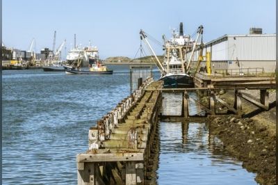 IJmuider Courant merkt bij project Halkade Beens Groep op