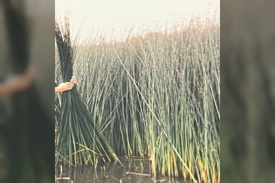 Biezenvelden vol landschapsliefde en vakmanschap