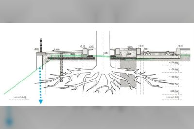 Monumentale iep behouden tijdens onze werkzaamheden