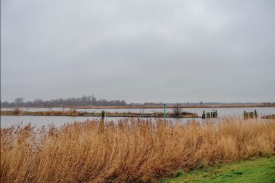 Samenwerken met de natuur