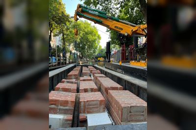 DUIK OP 8 JUNI IN DE WERELD VAN BEENS TIJDENS DE DAG VAN DE BOUW