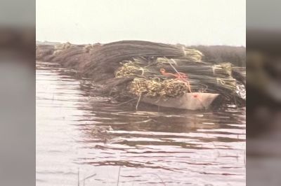 Biezenvelden vol landschapsliefde en vakmanschap