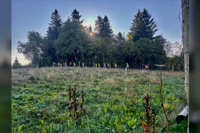 Beens Beweegt 2025: Samen sportief en vitaal in Winterberg