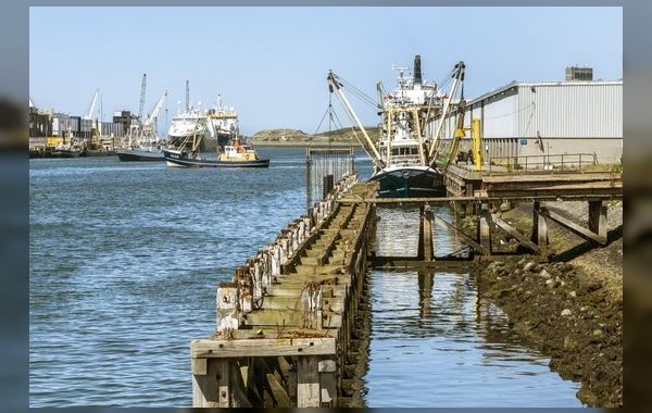 Beens Groep opgemerkt door IJmuider Courant bij project Halkade