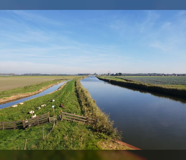 Oeververvanging Niedorpervaart: "Werken aan het vergroenen van waterveiligheid"