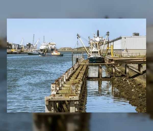 Beens Groep opgemerkt door IJmuider Courant bij project Halkade