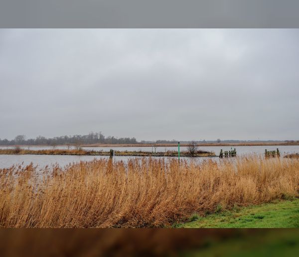 Samenwerken met de natuur