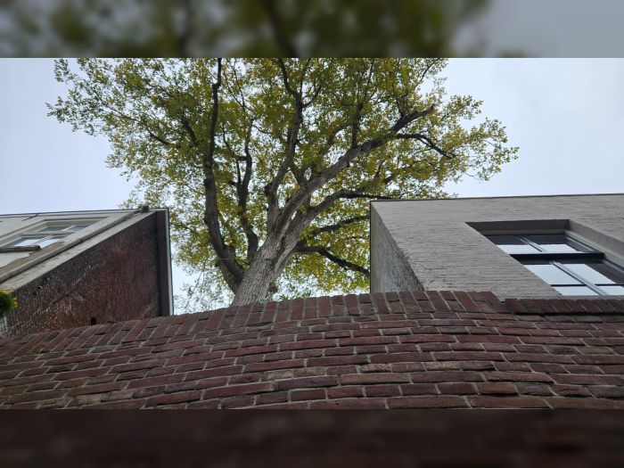 Binnendieze 's-Hertogenbosch - Beens Groep