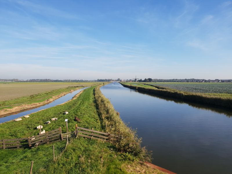 Oeververvanging Niedorpervaart: "Werken aan het vergroenen van waterveiligheid"