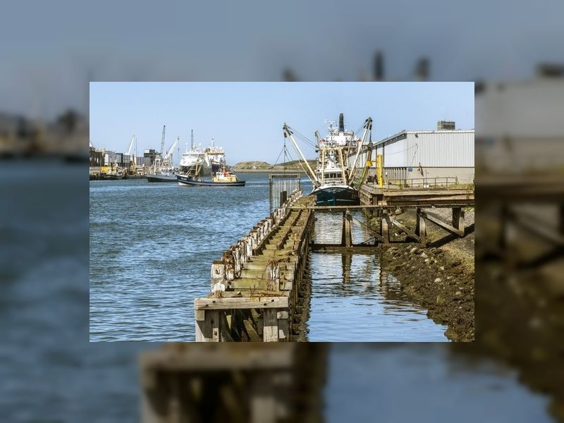 Beens Groep opgemerkt door IJmuider Courant bij project Halkade