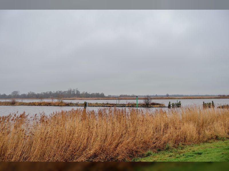 Samenwerken met de natuur